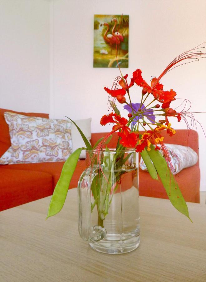 Apartment Greenflash Kralendijk  Ngoại thất bức ảnh